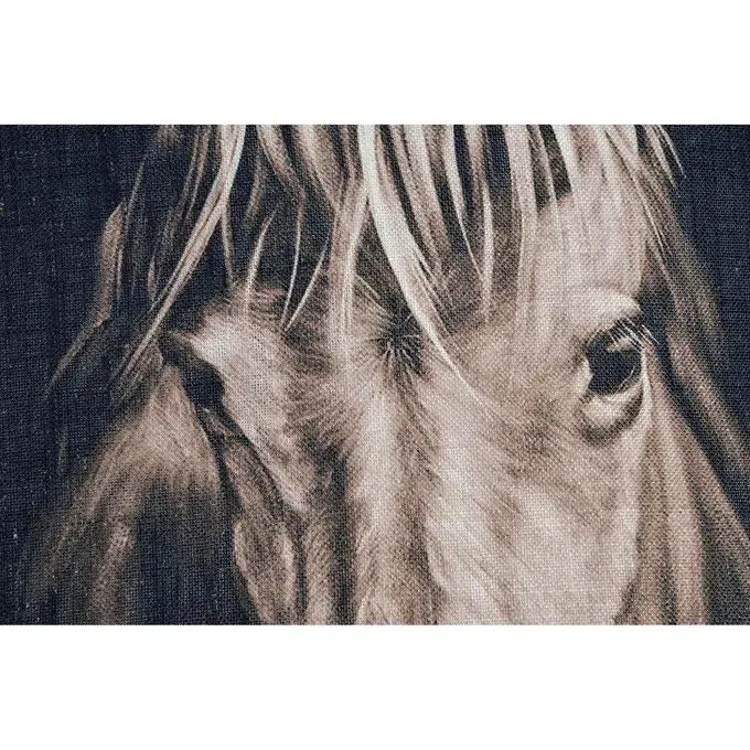 Del Rio - 20" x 20"
