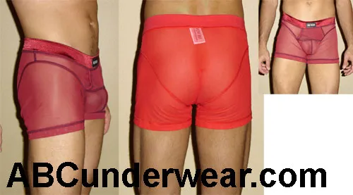 Sheer Net Boxer